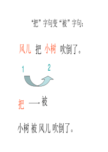 把字句和被字句