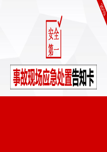 事故现场应急处置告知卡(50页-16种方案汇总)