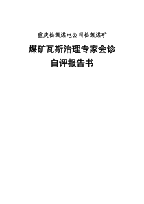 松藻煤矿瓦斯治理专家会诊自评报告书(10月18日修改)