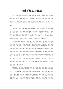 特殊学校实习总结