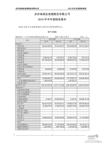 步步高：XXXX年半年度财务报告 XXXX-08-20