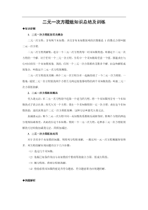 北师大版八年级数学二元一次方程组知识总结及训练