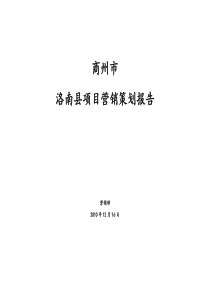 洛南县项目营销策划报告12月16日