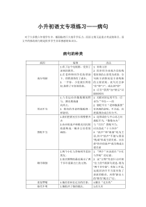 小升初语文专项练习——修改病句