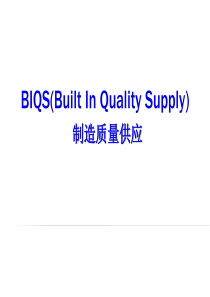 通用BIQS培训资料（PPT88页)