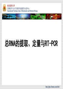 总RNA提取定量与RT-PCR--20111226