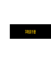 终端为王之国际品牌SI手册