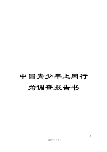 中国青少年上网行为调查报告书