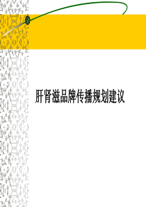 肝肾滋品牌传播规划建议（PPT48页）