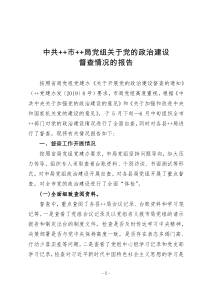 行政事业单位党的政治建设情况自查督查报告——11页