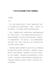 中考语文阅读理解专项练习真题精选