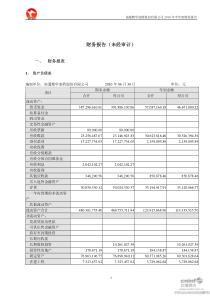 精华制药：XXXX年半年度财务报告 XXXX-07-30