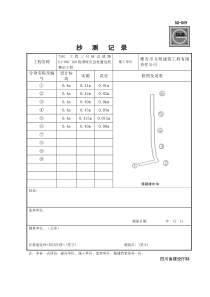 SG抄测记录