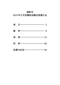 绵阳市2019年小升初模拟试题及答案汇总