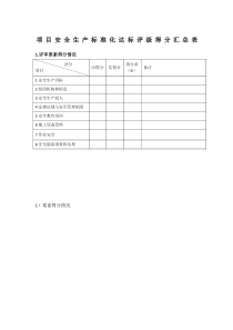 电力建设施工企业安全生产标准化规范及达标评级标准检查表