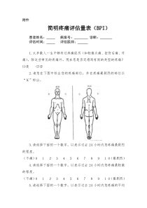 简明疼痛评估量表BPI