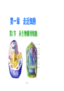 人教版高中生物必修一(全套)课件