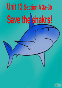 U13-3a-save-the-sharks