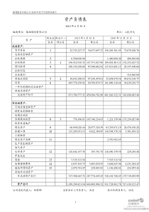 路翔股份：XXXX年半年度财务报告