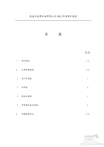 辰溪大洑潭水电有限公司XXXX年度审计报告
