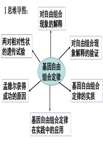 1.2--孟德尔的豌豆杂交实验(二)--课件-人教版必修2