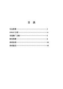 鲁花品牌推广方案修改t