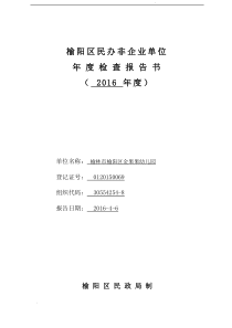 民办非企业单位年审报告