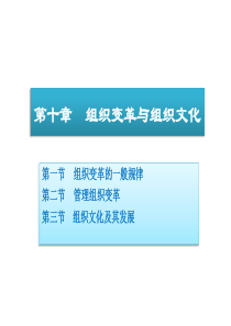 10组织变革与组织文化-第十章组织变革与组织文化