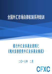 境内直接投资外汇业务展业规范授课PPT