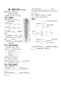 《植株的生长》导学案