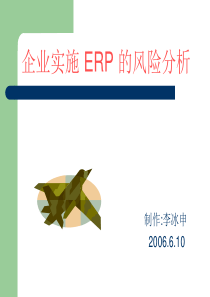 ERP 实施风险风析--李冰申