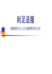 AERO鞋业公司实施ERP案例分析