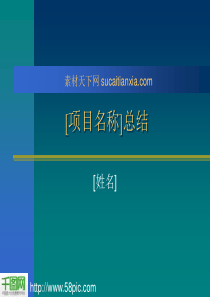 项目总结报告PPT模板