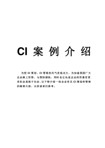 CI案例介绍广东恒丰投资集团有限公司