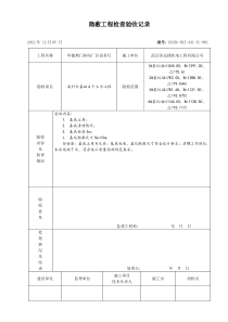 隐蔽工程验收记录表