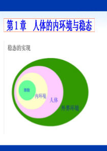 yong生物：3.1《细胞生活的环境》课件(新人教版必修3)