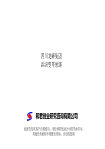 《龙蟒集团组织变革思路》（PPT 72页）