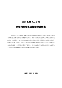 ERP系统KL公司内控及业务流程详细案例