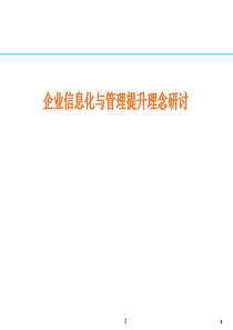 企业信息化与管理提升理念研讨