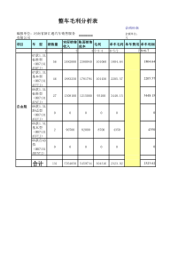 整车毛利分析表