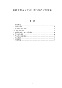 防隧道涌水(透水)拥沙事故应急预案