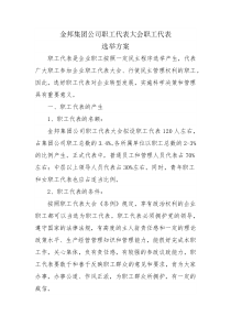 公司职代会职工代表选举方1