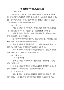 学校教师专业发展计划