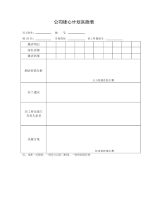 公司雄心计划实施表