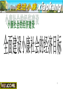 我眼中的小康社会