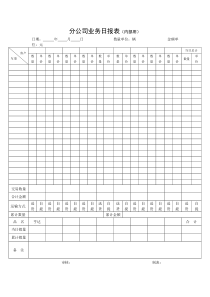 分公司业务日报表（内部用）