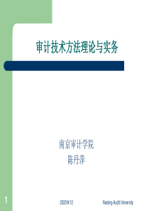 现代审计技术与方法-陈丹萍