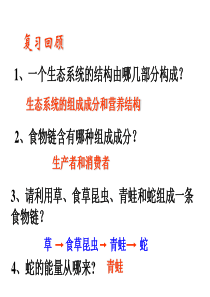 第二节生态系统的能量流动(上课用)