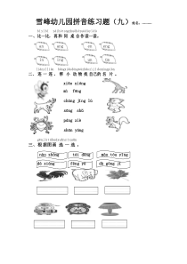 学前班拼音练习题(九)-----后鼻韵母的练习题