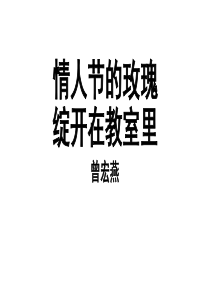 情人节的玫瑰绽开在教室里